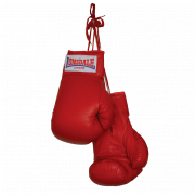 Boxing Gloves Unduh PNG