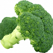 Gambar png gratis brokoli