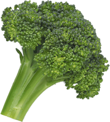 Gambar Broccoli png