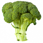 Gambar brokoli png