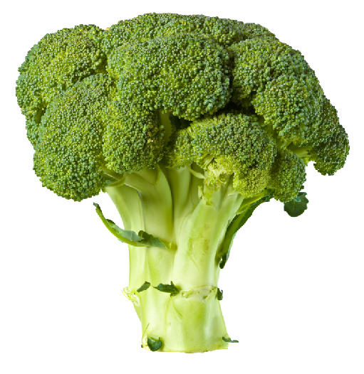 Gambar brokoli png