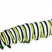Caterpillar PNG -файл