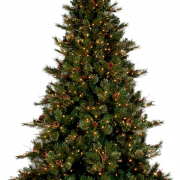 Árvore de Natal Download grátis png