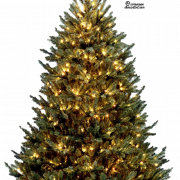 Imagem PNG grátis de árvore de Natal