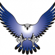 Falcon PNG Bild
