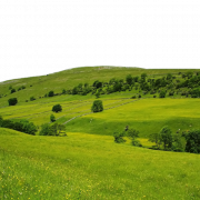 Nature Free Download PNG
