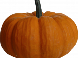 Pumpkin PNG File