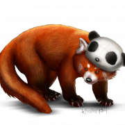 Gambar panda panda merah