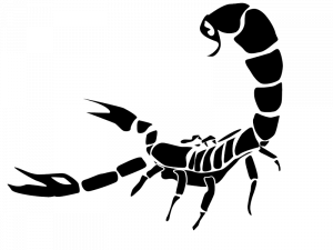 Scorpio Download PNG