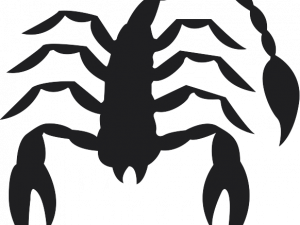 Scorpio PNG Picture