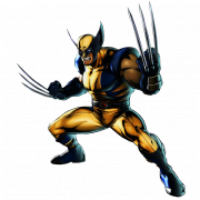 Wolverine transparente