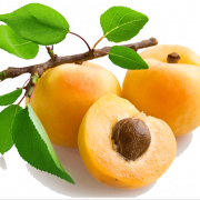 Apricot PNG Picture