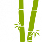 Bambu transparente