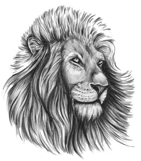 Lion Tattoo Free Download PNG - PNG All | PNG All