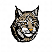 Lynx PNG Image