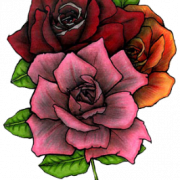 Rose tatouage PNG