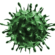 CLIPART PNG VIRUS