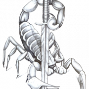 Scorpion Tattoos ดาวน์โหลดฟรี png