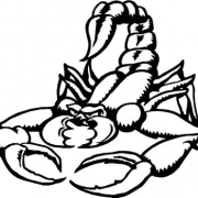 Imagen de PNG de tatuajes de Scorpion