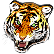 Tigre Tattoos PNG Clipart