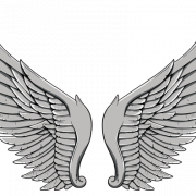 Wings Tattoos png
