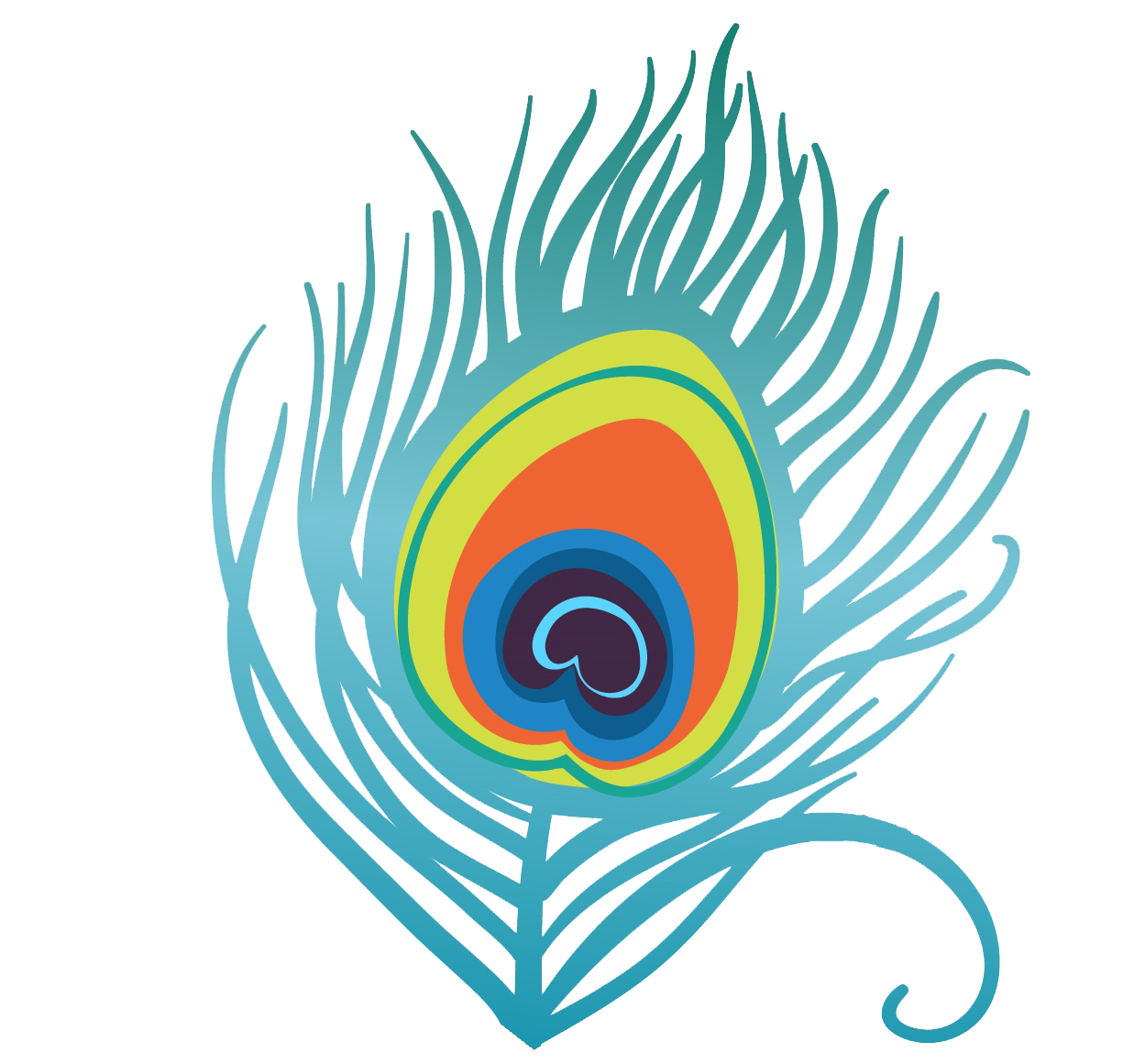 Single Peacock Feather Png