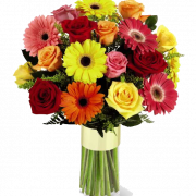 Imagem de PNG da Flor da Flor de Parabéns