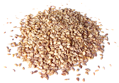 Arquivo PNG de sementes de gergelim