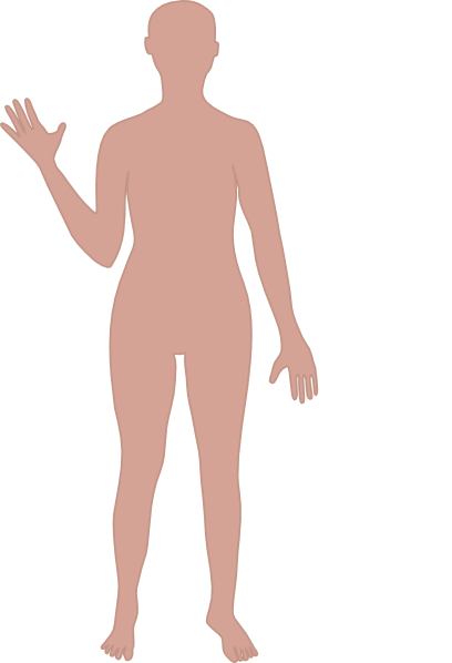 Body Image PNG Transparent Images Free Download