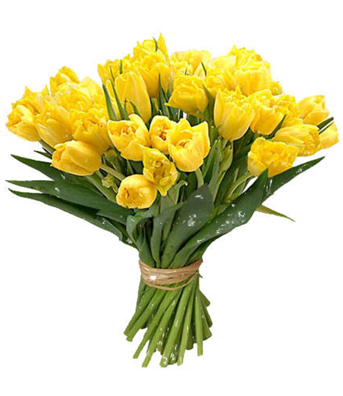 Bouquet Flower PNG Free Download | PNG All