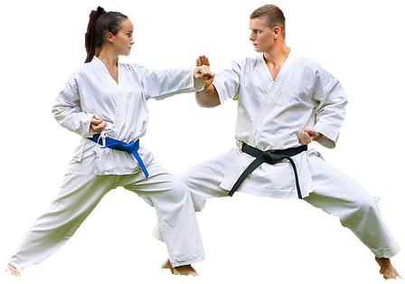 Karate PNG High Quality Image | PNG All