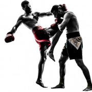 MMA Fight PNG Download grátis