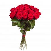Rose Bouquet Png Imagen gratis