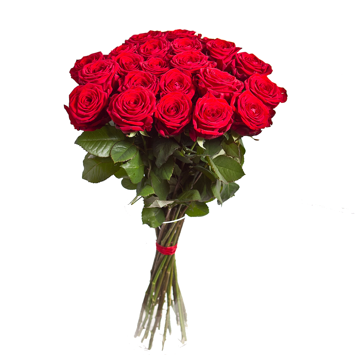 Rose Bouquet PNG Free Image | PNG All