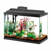 Aquarium Pish Tank PNG