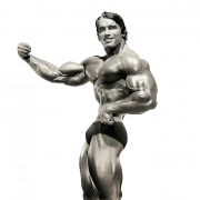 Arnold Schwarzenegger vücut geliştirme png indirmek