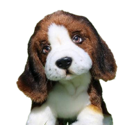 Beagle dog puppy png afbeelding