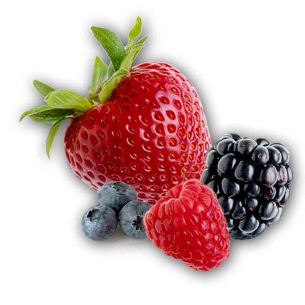 Berries Png Image File Png All Png All