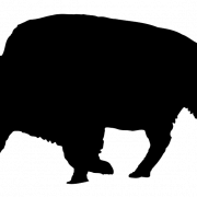 Bison Silhouette Png