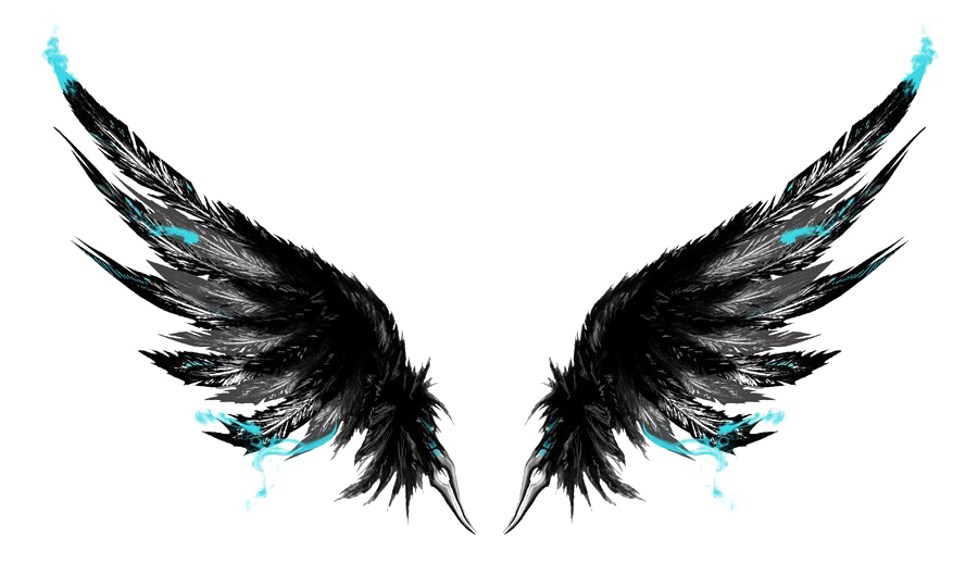 Wings PNG transparent image download, size: 5192x5247px