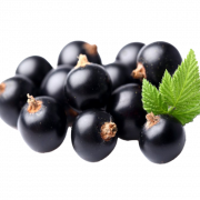 Archivo de imagen PNG de fruta negra