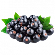 Fruta de grosella negra Png Photo