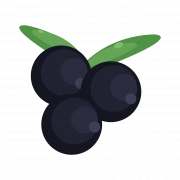 Fruta de grosella negra transparente