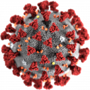 ไฟล์ png coronavirus