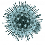 Coronavirus Germs Png Hd Image