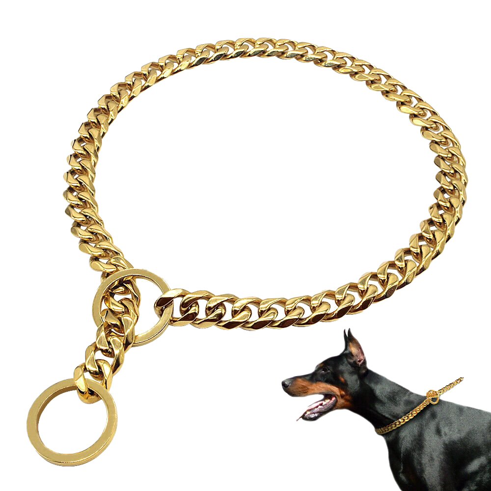PNG de cadena de perros de oro