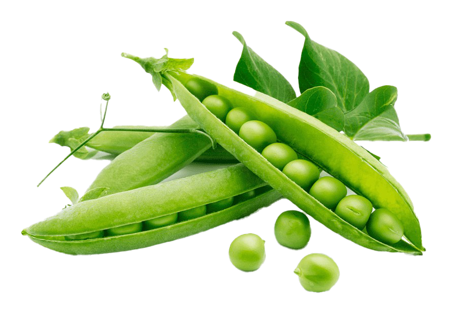 Green Beans Png Download Imagem