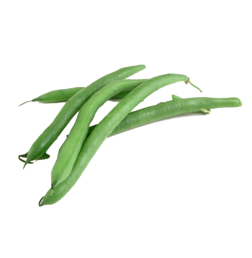 Green Beans PNG File - PNG All | PNG All