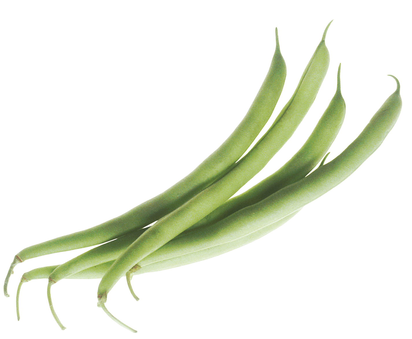 Green Beans PNG PNG All