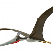 Pterosaurier PNG Download Bild